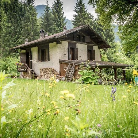Chalet Silenthia Βίλα Lenzumo di Concei Εξωτερικό φωτογραφία
