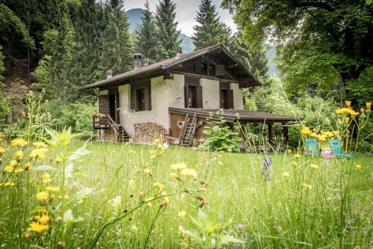 Chalet Silenthia Βίλα Lenzumo di Concei Εξωτερικό φωτογραφία