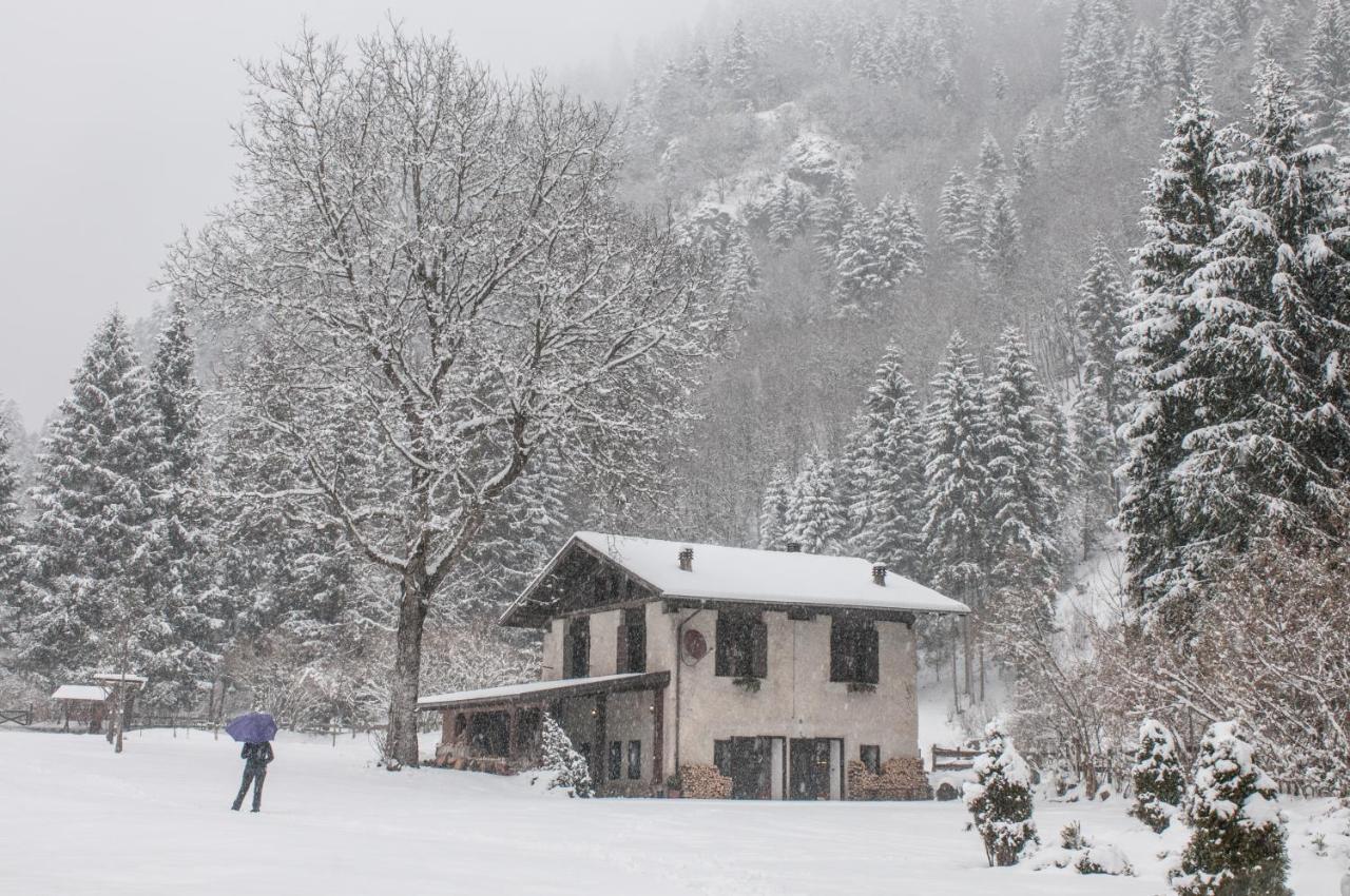 Chalet Silenthia Βίλα Lenzumo di Concei Εξωτερικό φωτογραφία